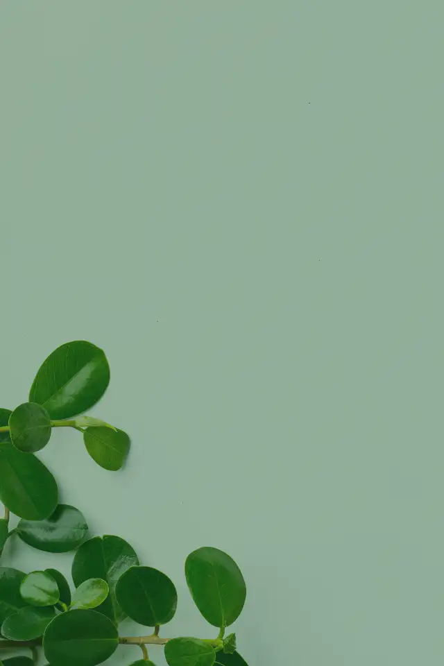 Hero banner Image
